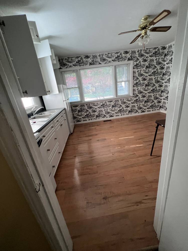 Tissiman, Chatham — Sep 2023